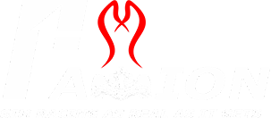 F1aXion logo